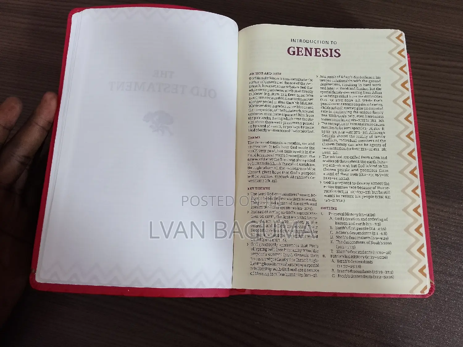 African Women Devotional Bible