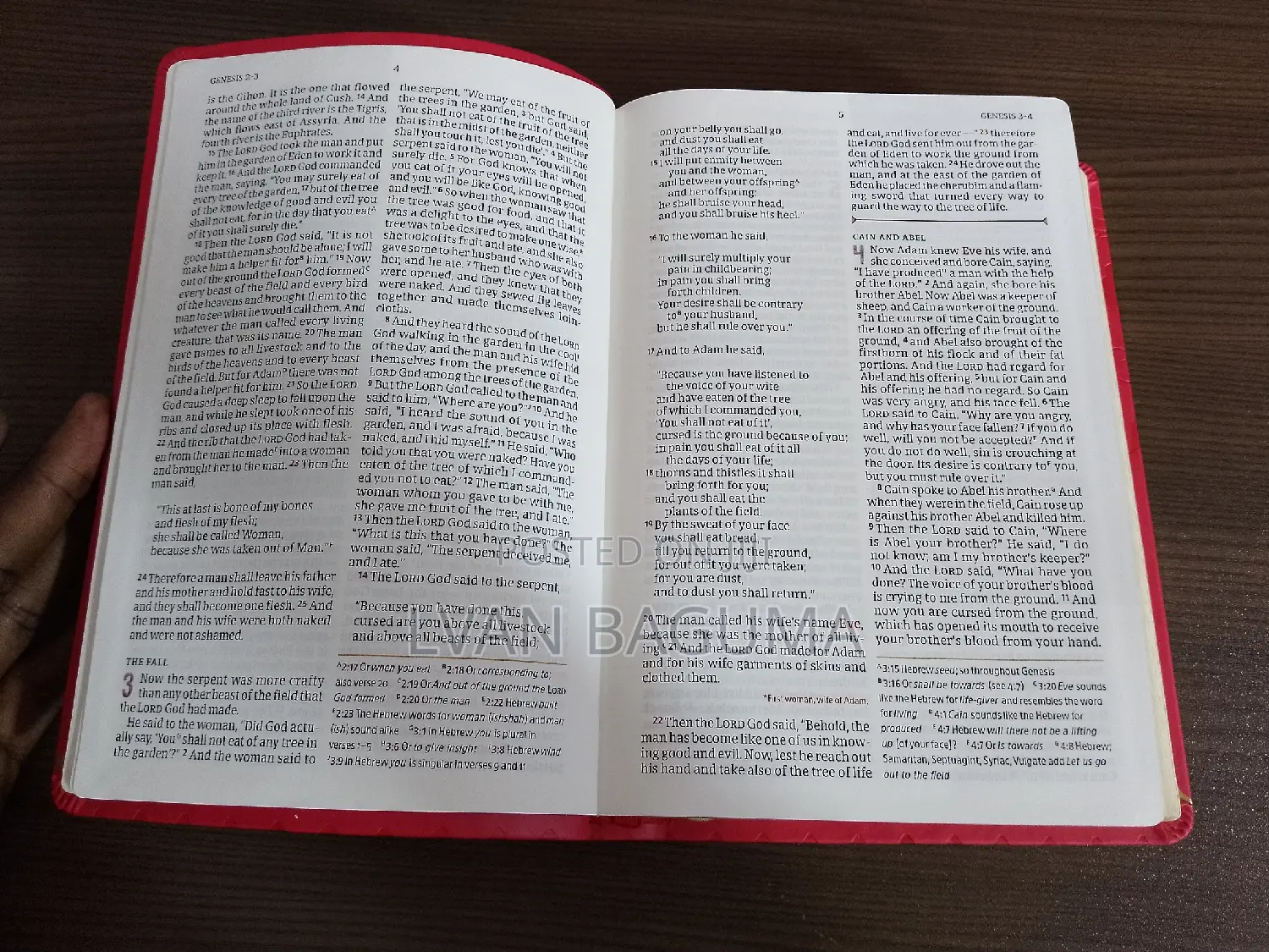 African Women Devotional Bible