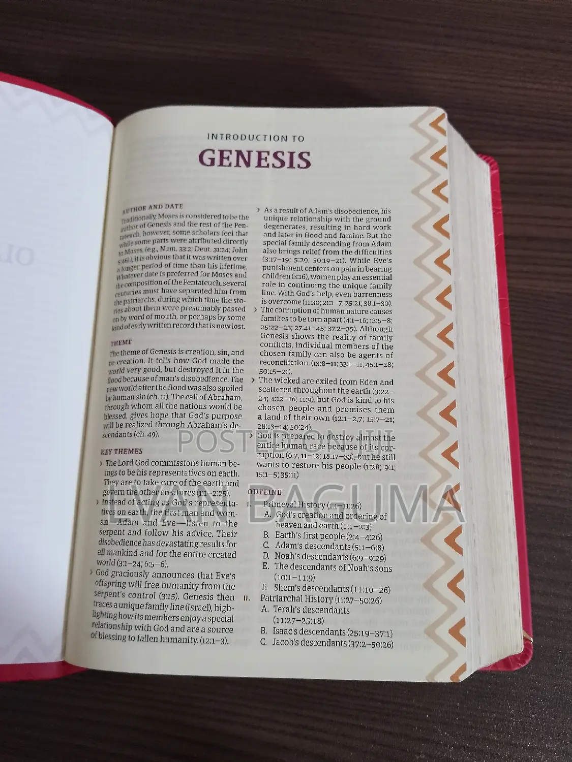 African Women Devotional Bible