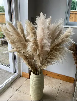 XL Decor Pampas Grass 115cm - Per Stem - Extra Fluffy!