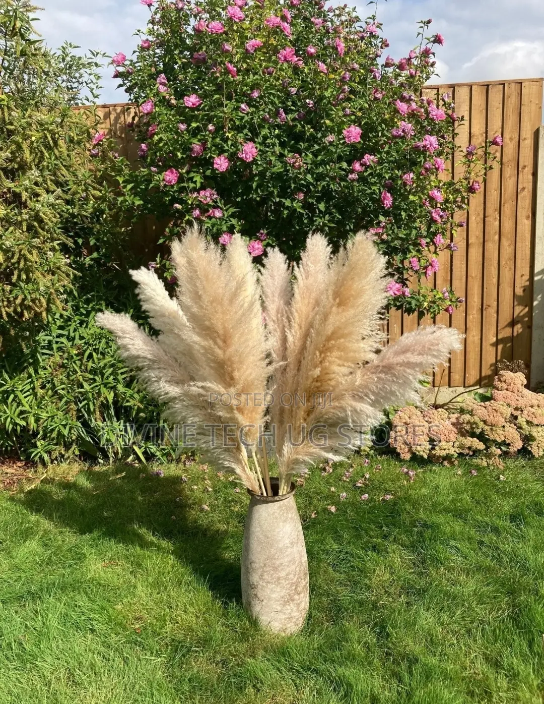 XL Decor Pampas Grass 115cm - Per Stem - Extra Fluffy!