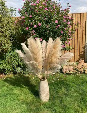 XL Decor Pampas Grass 115cm - Per Stem - Extra Fluffy!