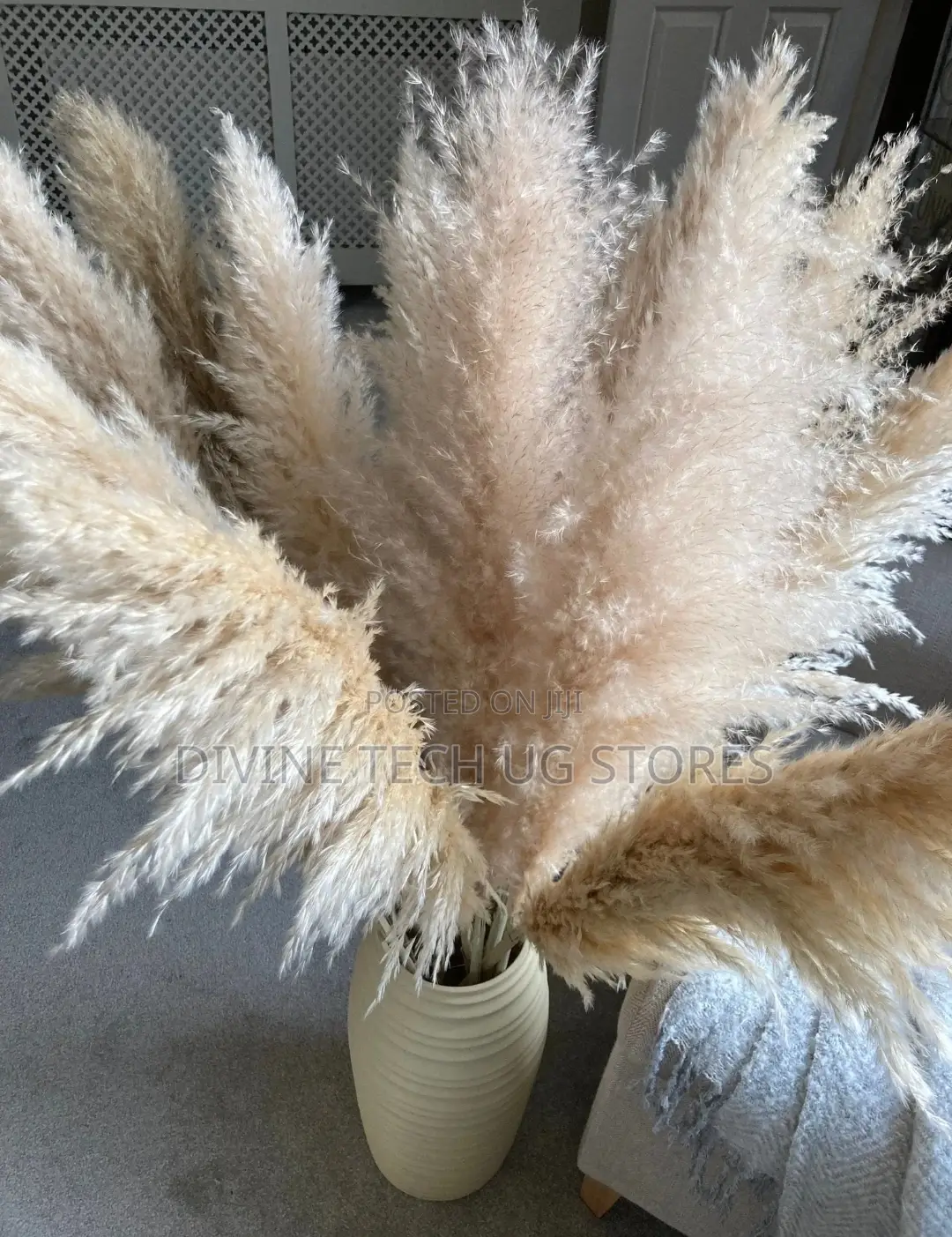 XL Decor Pampas Grass 115cm - Per Stem - Extra Fluffy!
