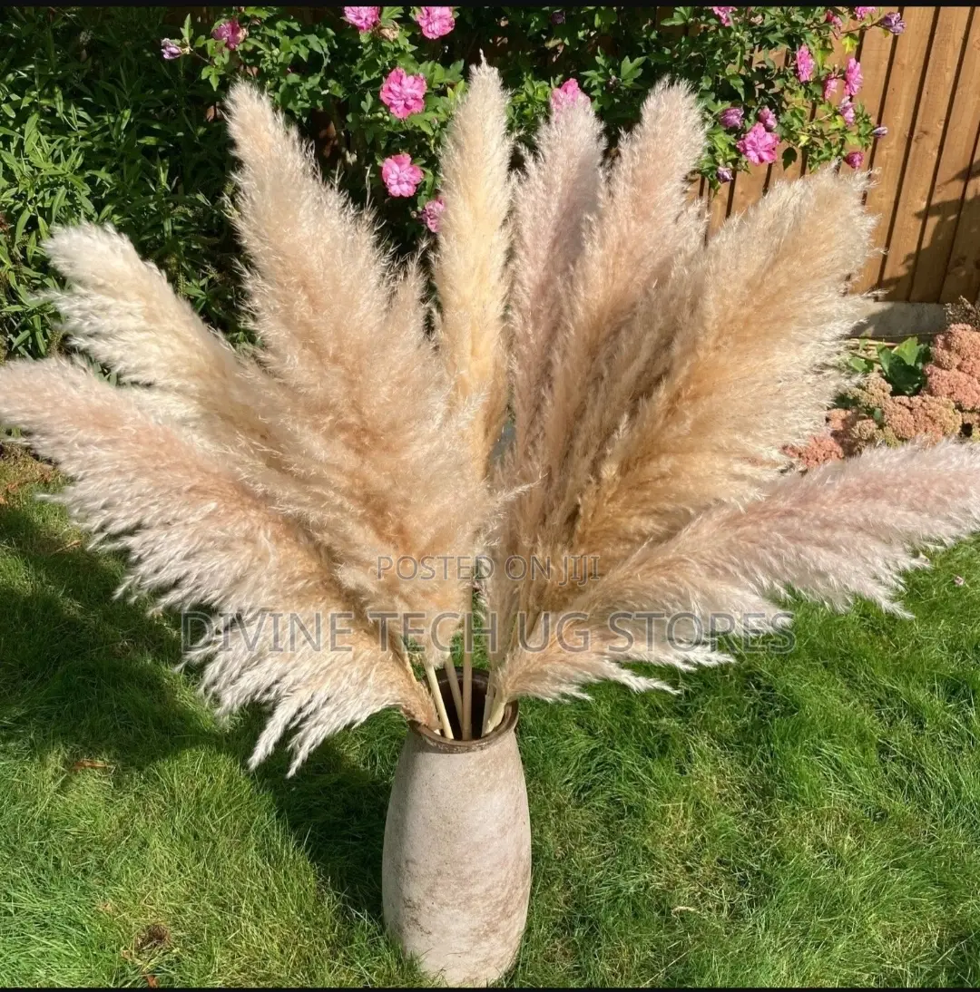 XL Decor Pampas Grass 115cm - Per Stem - Extra Fluffy!