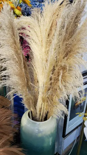 XL Decor Pampas Grass 115cm - Per Stem - Extra Fluffy!