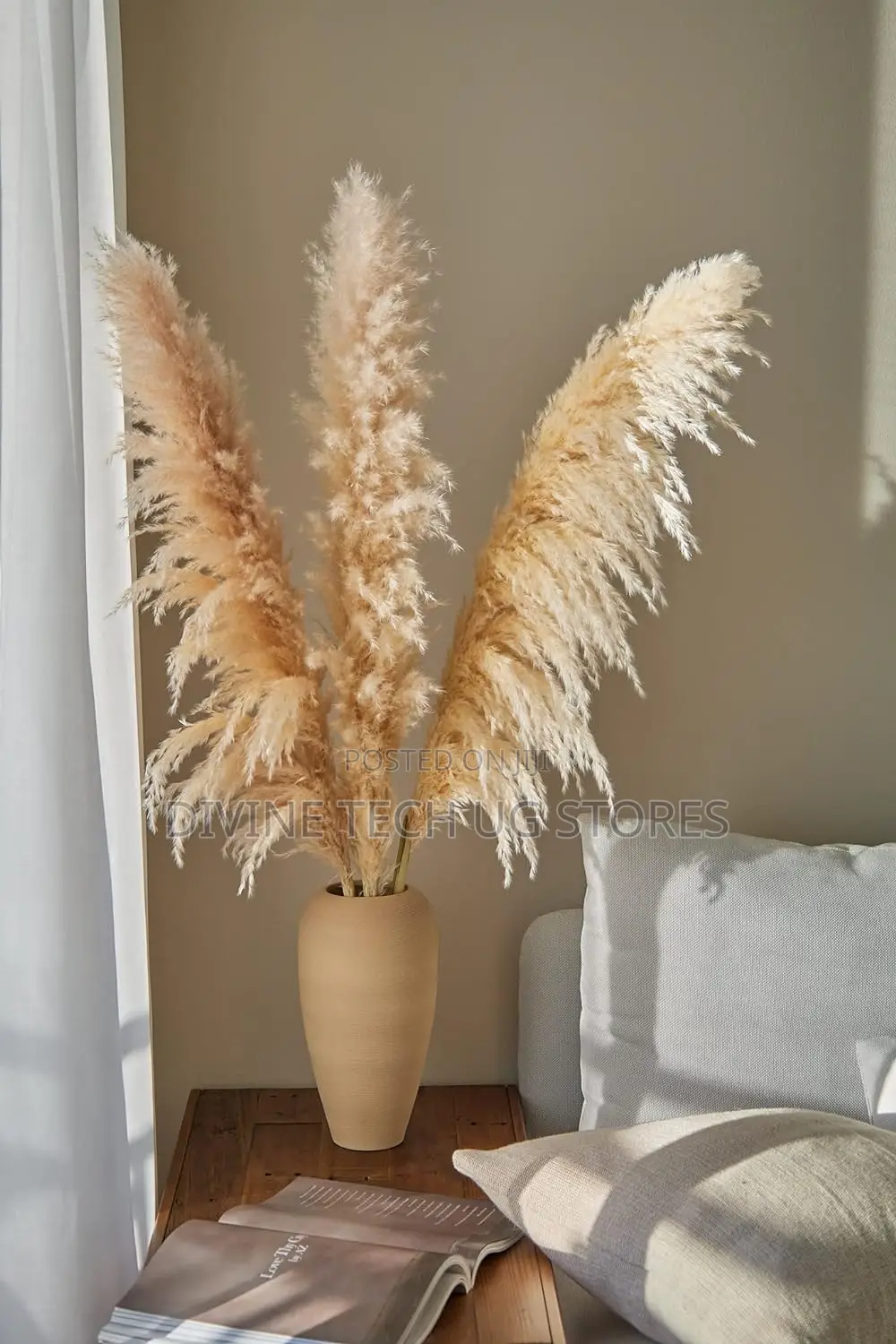 XL Decor Pampas Grass 115cm - Per Stem - Extra Fluffy!