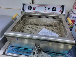 Commercial Electric Deepfryer Heavy Duty With Tap 20l
