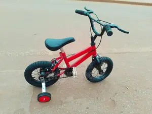 Vista Kids Bicycle