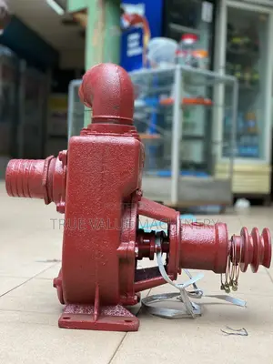 Self Priming Water Pump 3 Ich