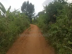12decimals Plot of Land for Sale at Kitukutwe