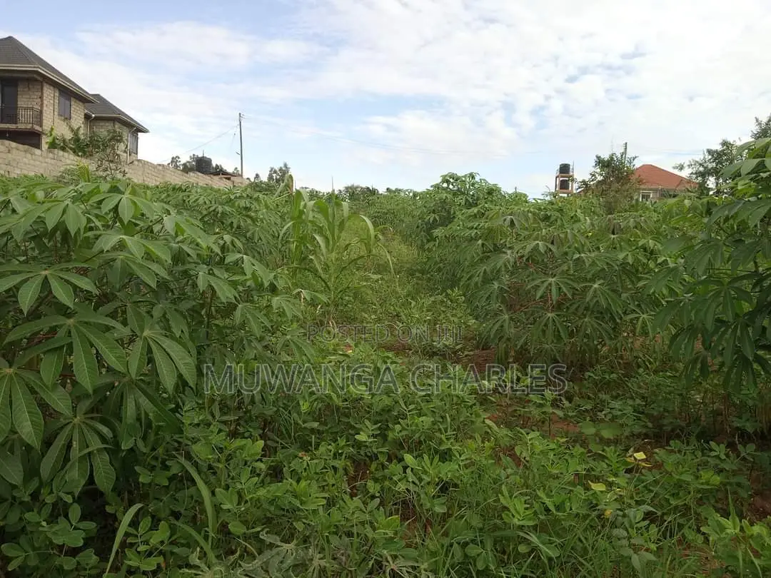 12decimals Plot of Land for Sale at Kitukutwe