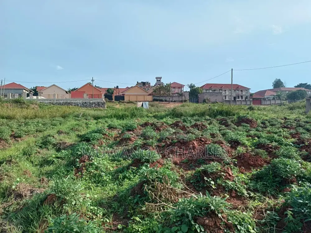 12decimals Plot of Land for Sale at Kitukutwe