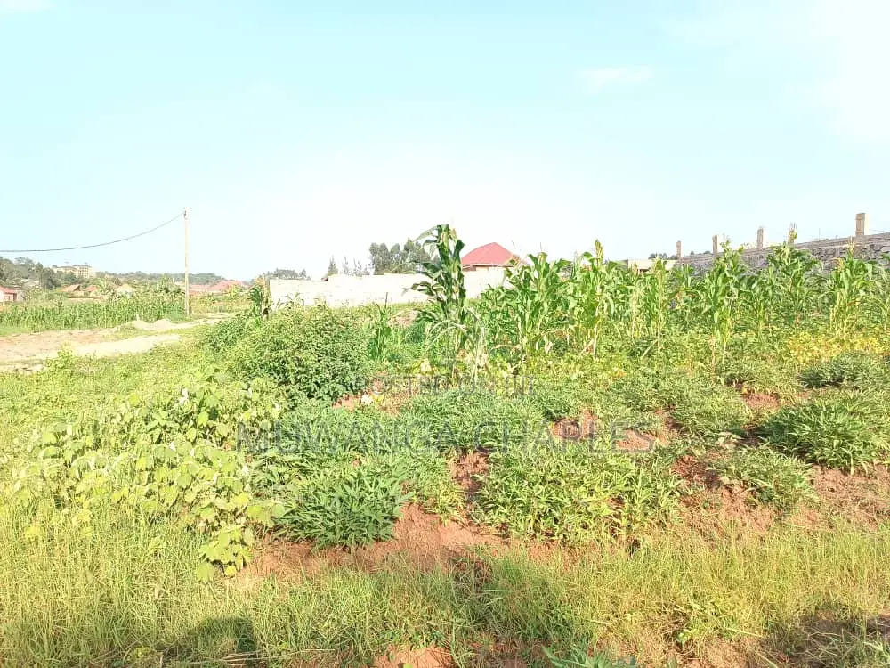 12decimals Plot of Land for Sale at Kitukutwe