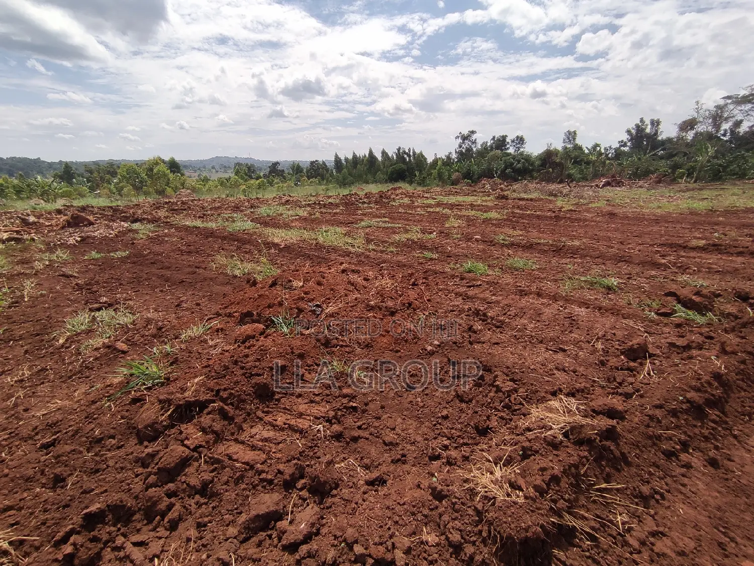 Gayaza Vumba, 50*100 At 19m
