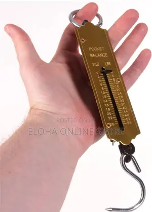 25kg Pocket Spring Balance Weighing Scale