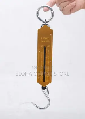 25kg Pocket Spring Balance Weighing Scale