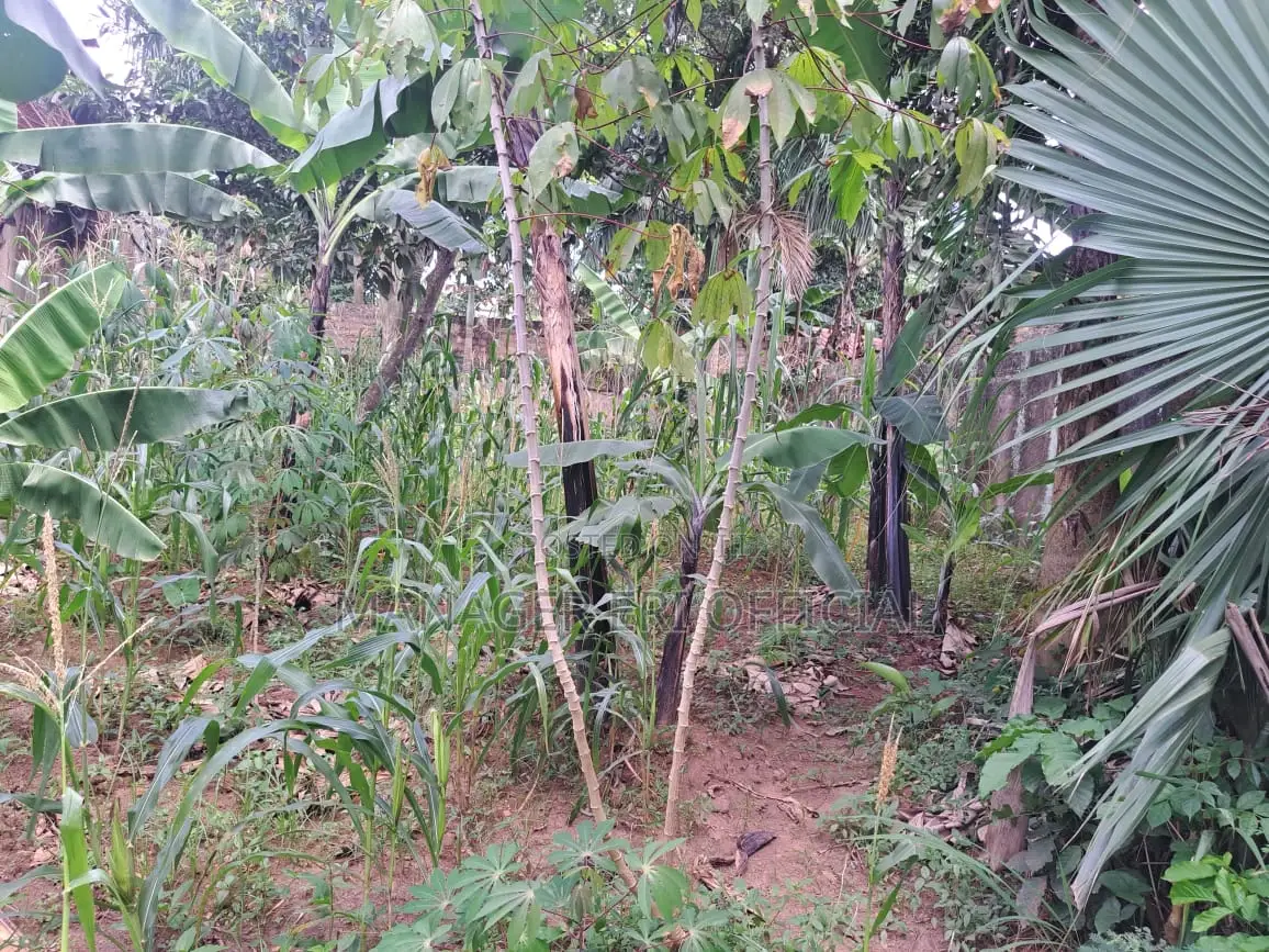 1acre of Land for Sale in Bugweri at 9m Only