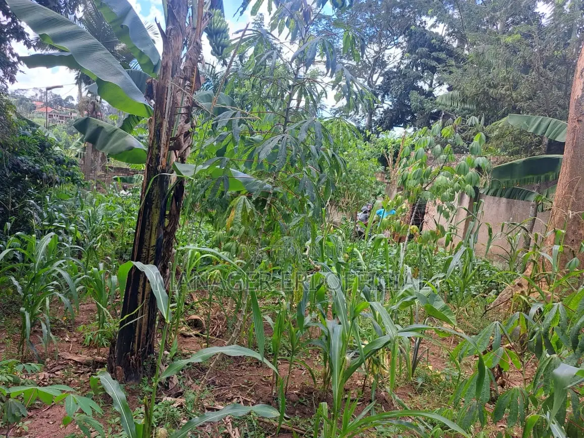 1acre of Land for Sale in Bugweri at 9m Only