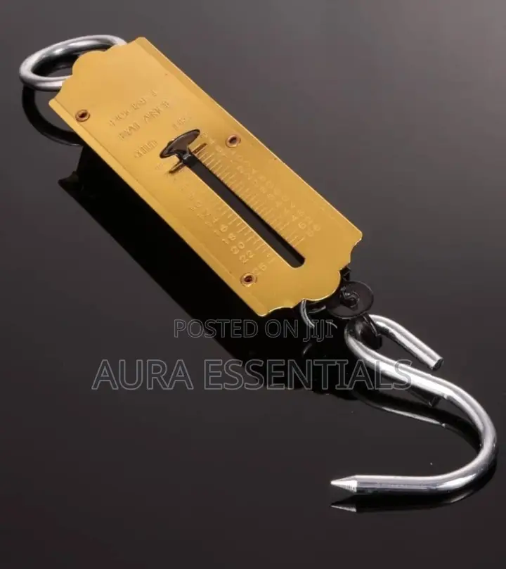 25kg Pocket Spring Balance Weighing Scale