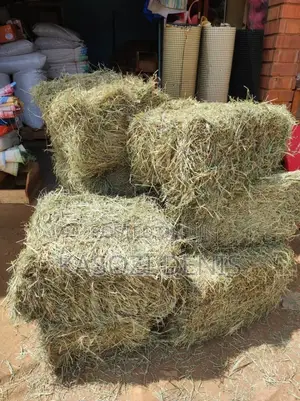 HAY BALES (Chloris Gayana)
