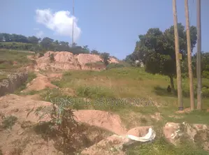 Plot of 28 Decimals in Upper Buziga With Lake View