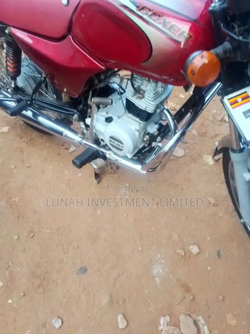 Bajaj Boxer 100 2024 Red