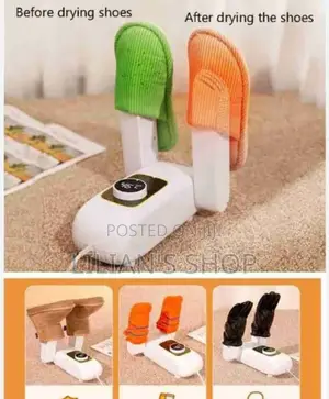 Electric Shoe Dryer