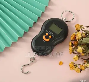 50kg/10g Portable Electronic Digital Travel Scale