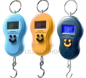 50kg/10g Portable Electronic Digital Travel Scale