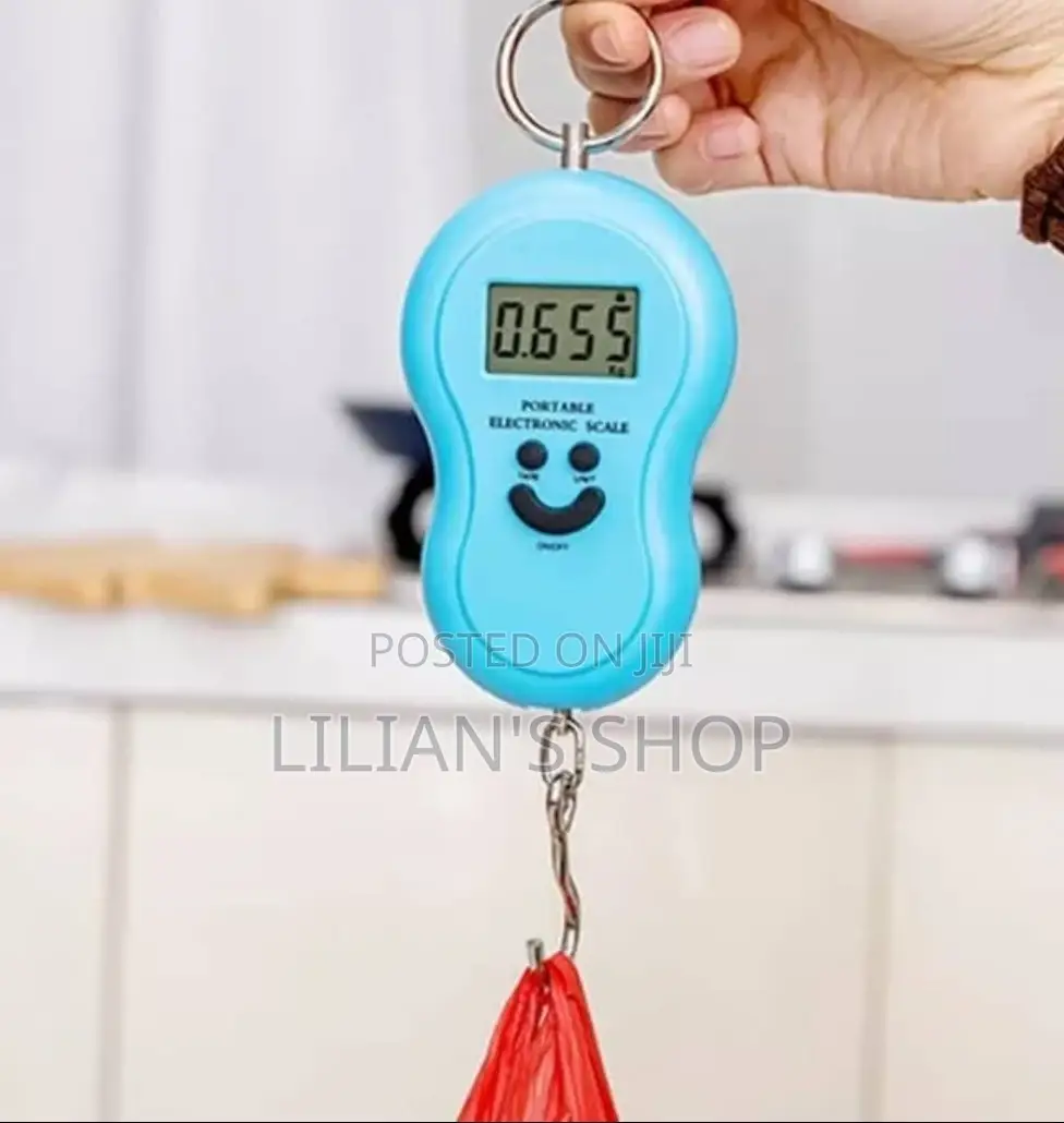 50kg/10g Portable Electronic Digital Travel Scale