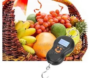 50kg/10g Portable Electronic Digital Travel Scale