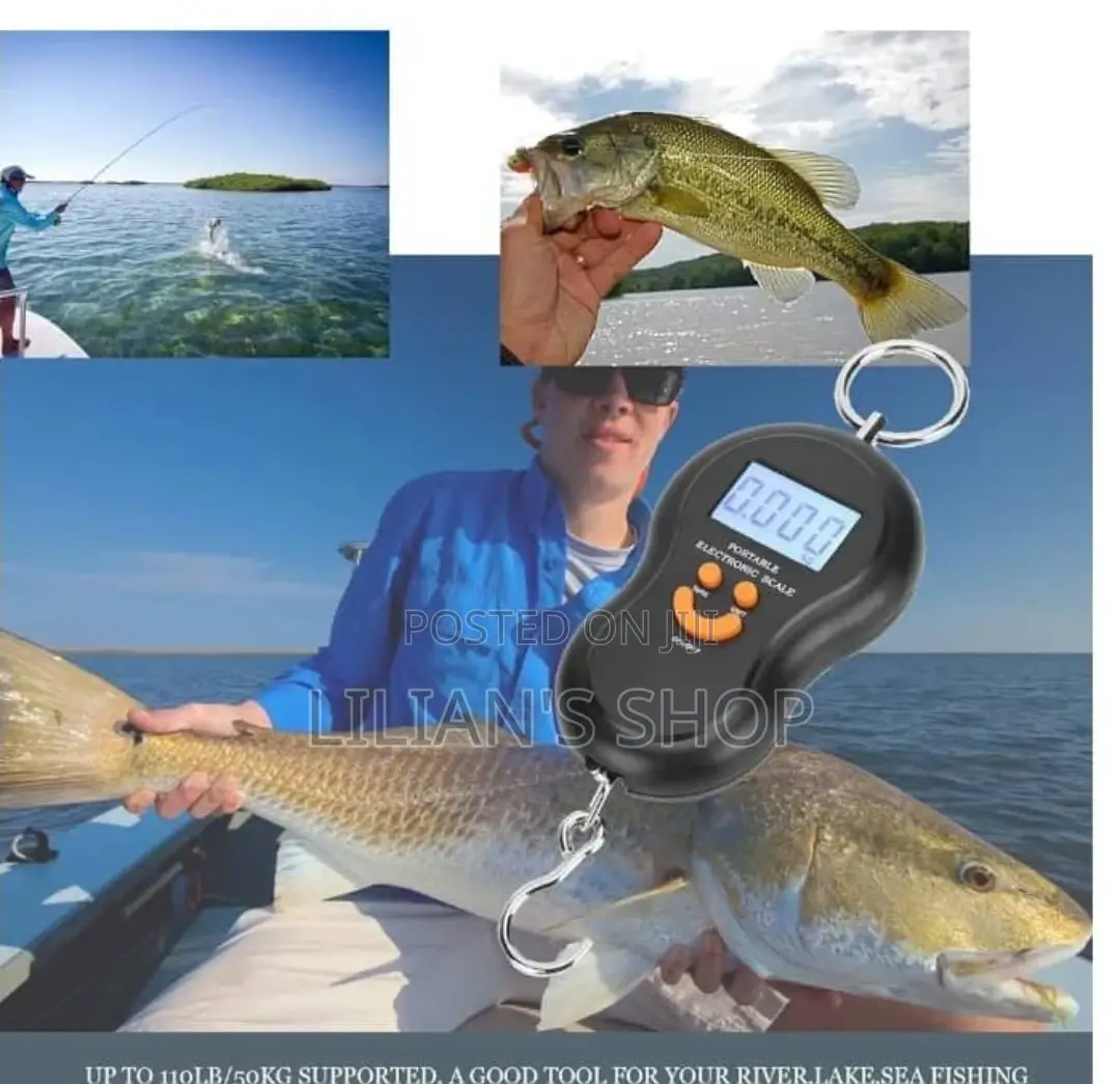 50kg/10g Portable Electronic Digital Travel Scale