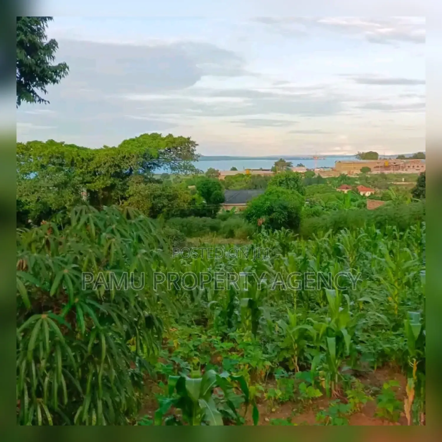 Two Acres in Bweya Kajjansi