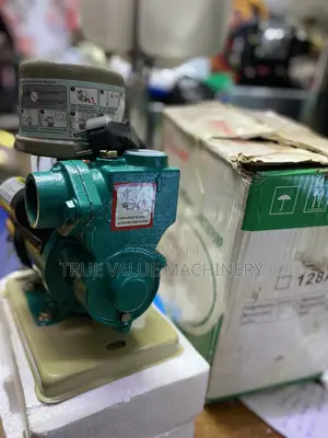Electric Water Pump Hot or Cold Water