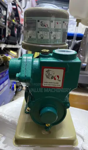 Electric Water Pump Hot or Cold Water