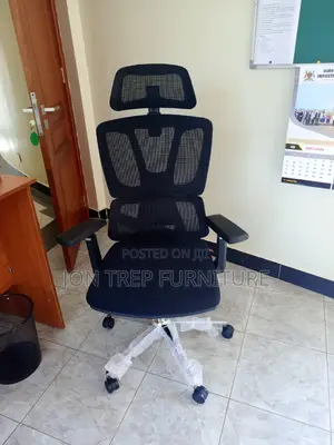 Office Chair Orthopedic Chair