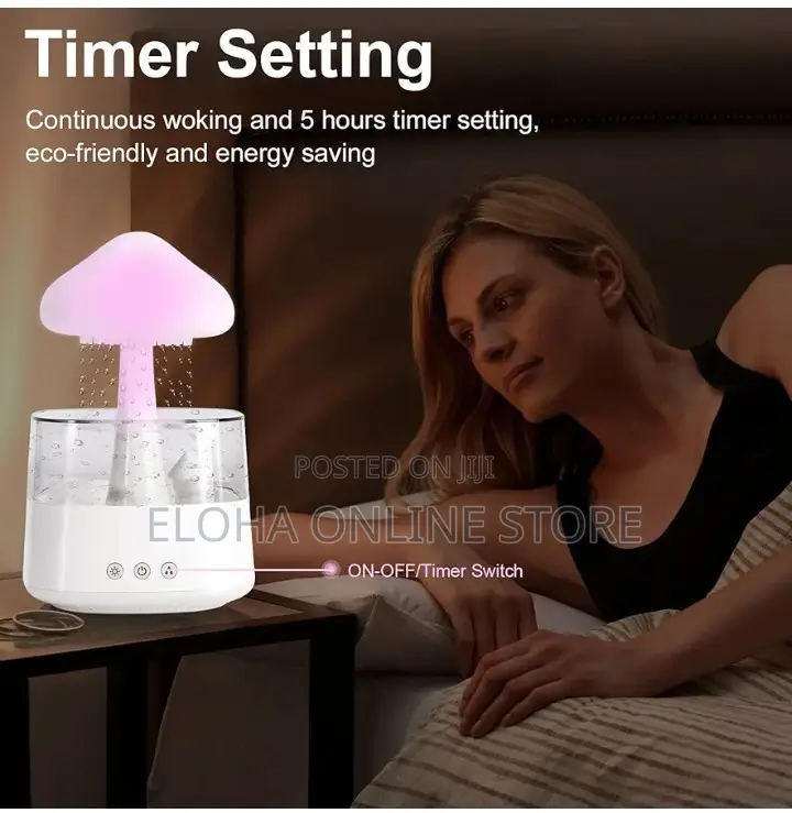 Aroma Diffuser Rain Cloud Humidifier