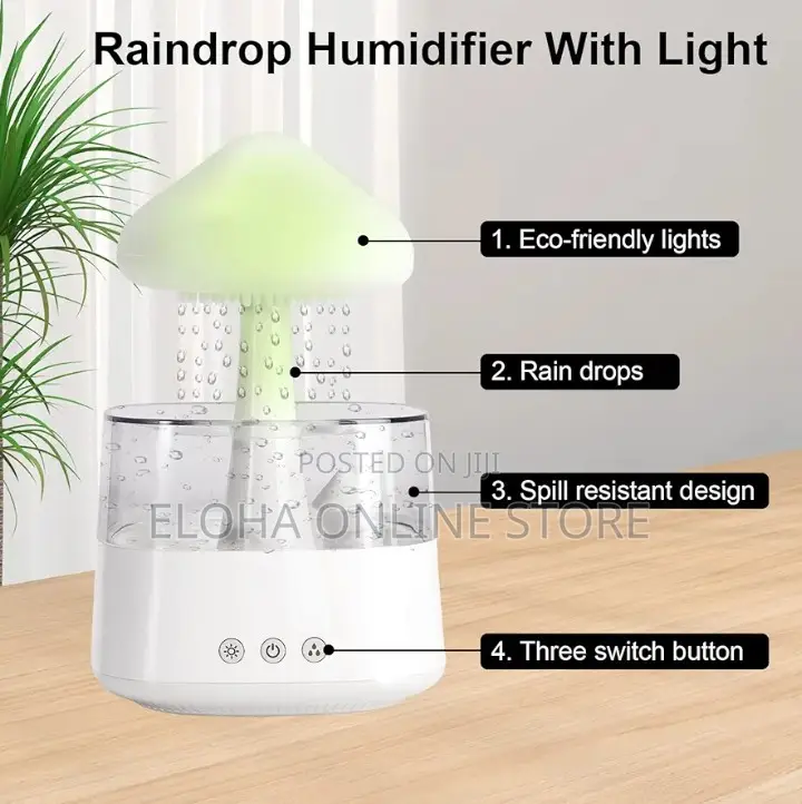 Aroma Diffuser Rain Cloud Humidifier