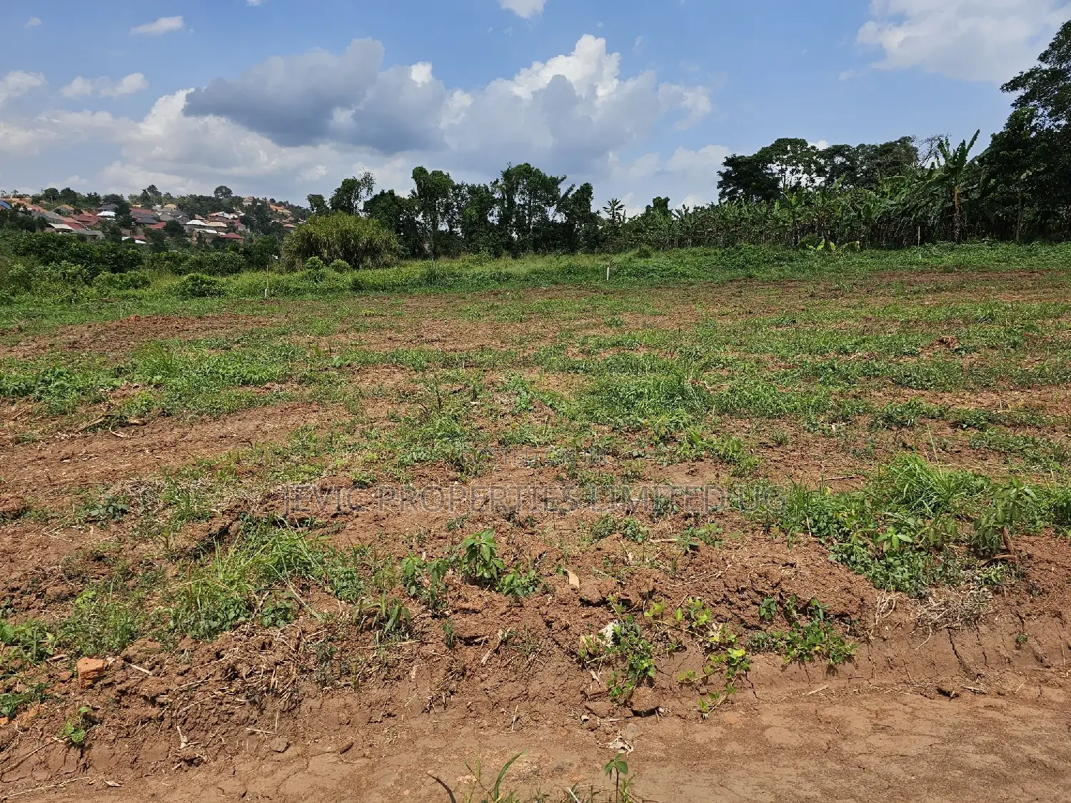 Wakiso-Namusera Mabombwe Estate Along Hoima Road