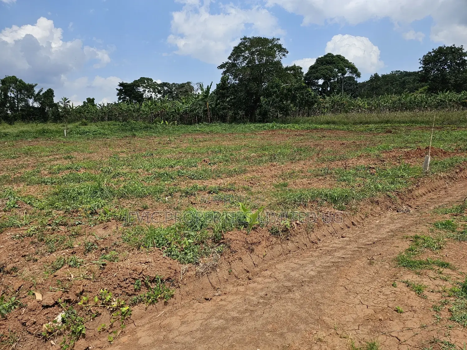 Looking for Land -Wakiso Namusera Titled Plots Are Fiting Yoir Dream