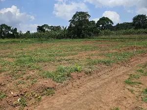 Looking for Land -Wakiso Namusera Titled Plots Are Fiting Yoir Dream