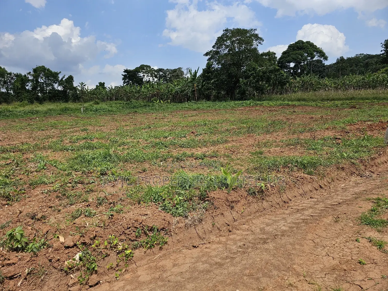 Looking for Land -Wakiso Namusera Titled Plots Are Fiting Yoir Dream