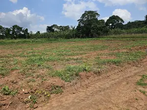 Looking for Land -Wakiso Namusera Titled Plots Are Fiting Yoir Dream