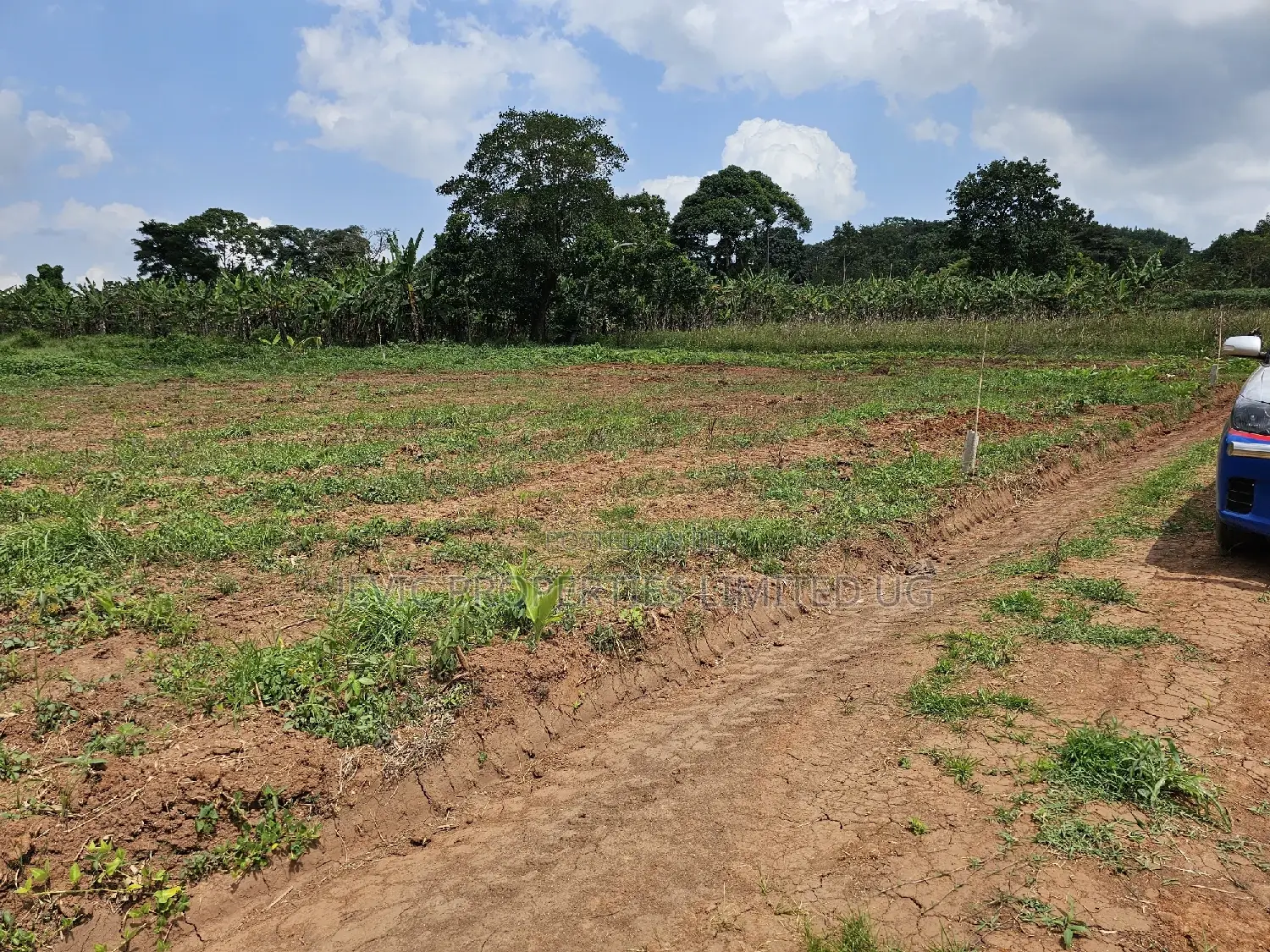 Looking for Land -Wakiso Namusera Titled Plots Are Fiting Yoir Dream