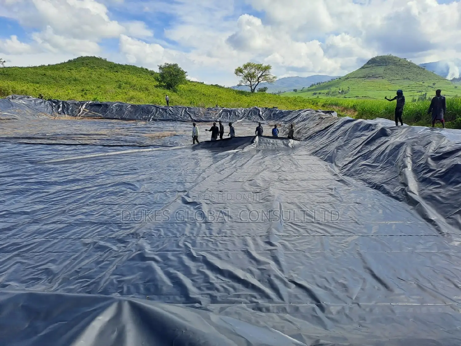 Fish Pond Liner