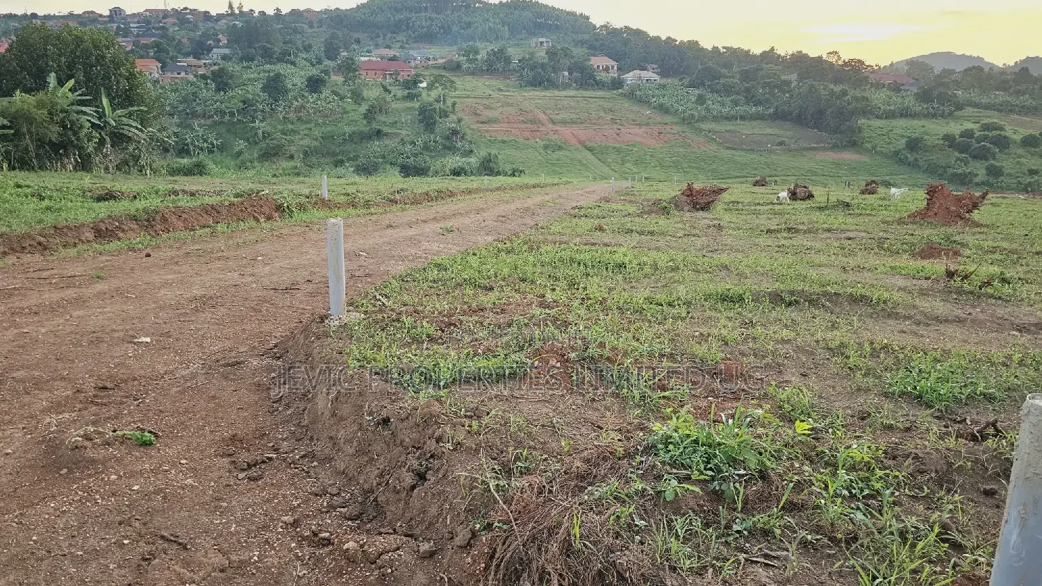 Prime Plots for Sale at Wakiso Namusera Mabombwe Town