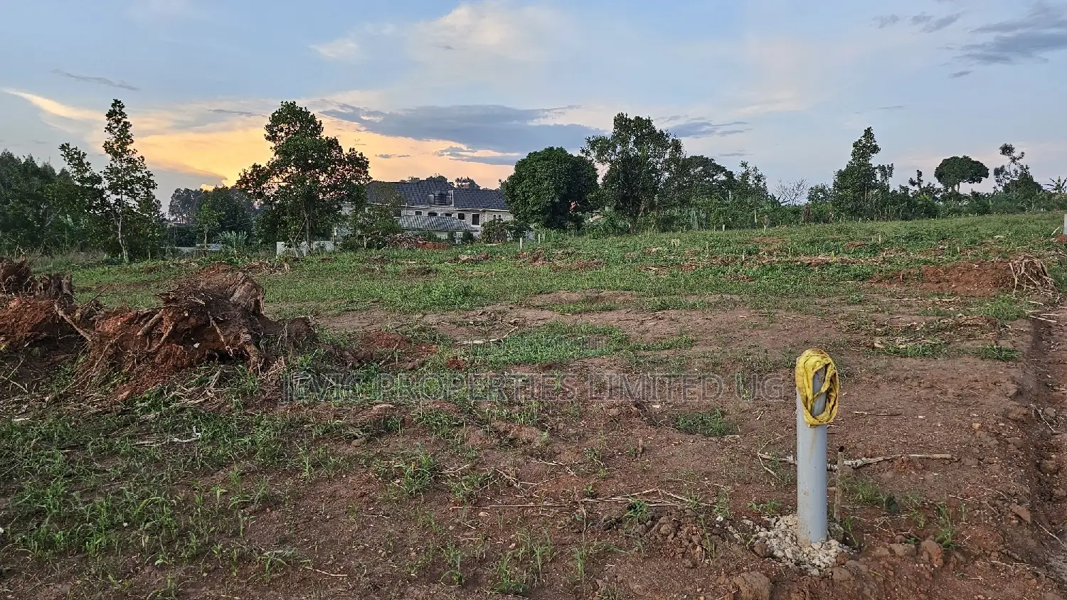 Prime Plots for Sale at Wakiso Namusera Mabombwe Town