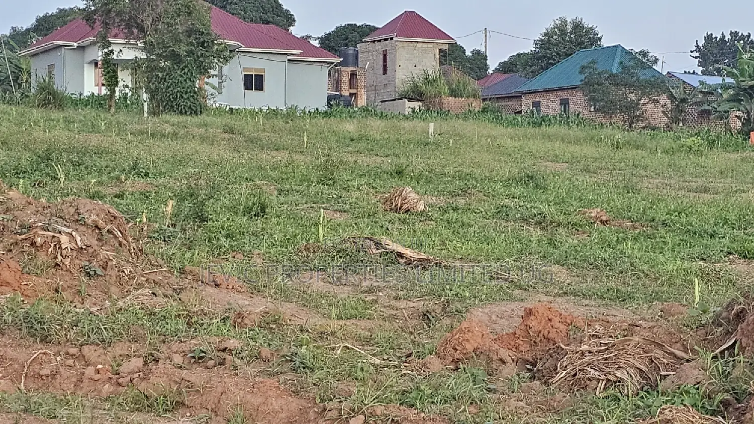 Prime Plots for Sale at Wakiso Namusera Mabombwe Town