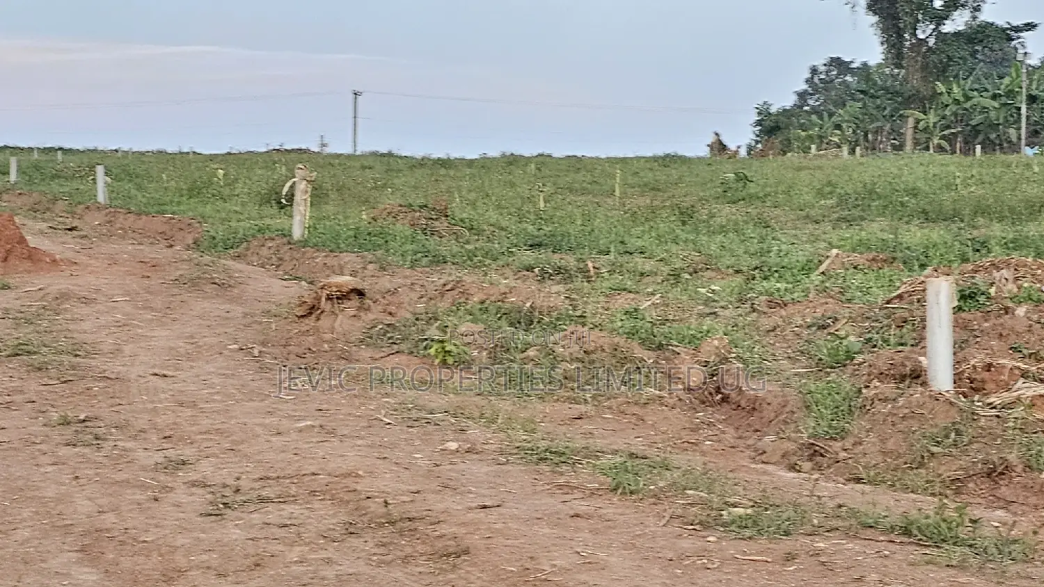 Prime Plots for Sale at Wakiso Namusera Mabombwe Town