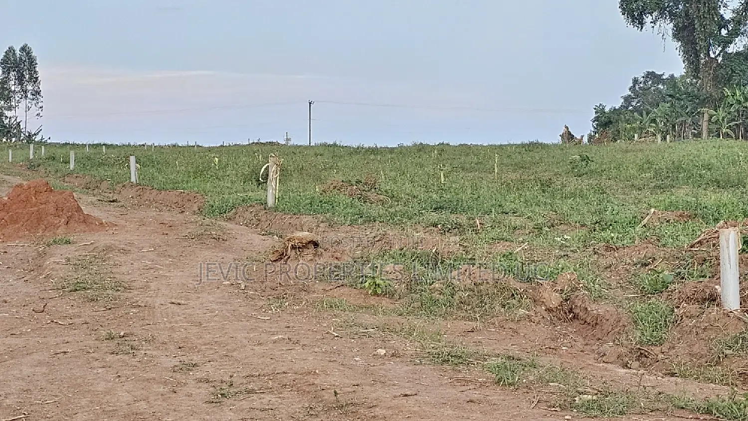 Prime Plots for Sale at Wakiso Namusera Mabombwe Town